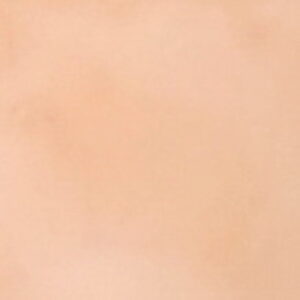 Farveprøve 12 – Håndlavede cementfliser fra Villa Tiles